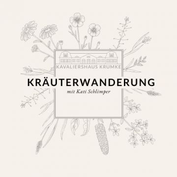 KRÄUTERWANDERUNG | mit Kati Schlimper